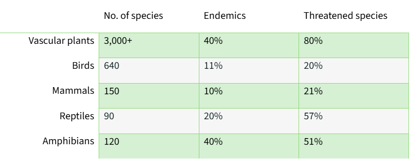 Graph - species per taxa in Chocó Andino