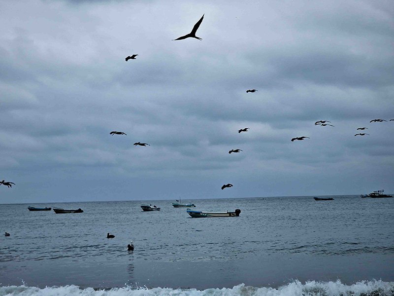 La Costa - the Coast in Ecuador